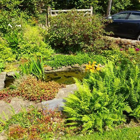 Tabor House B&B Fishguard Exteriör bild