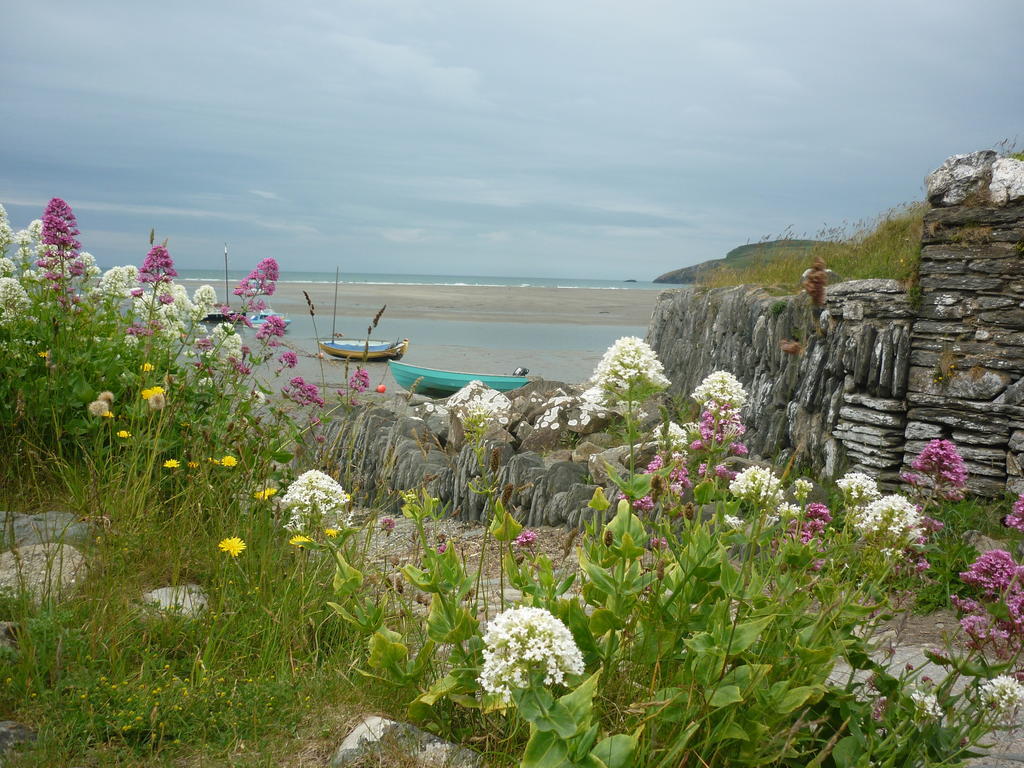 Tabor House B&B Fishguard Exteriör bild