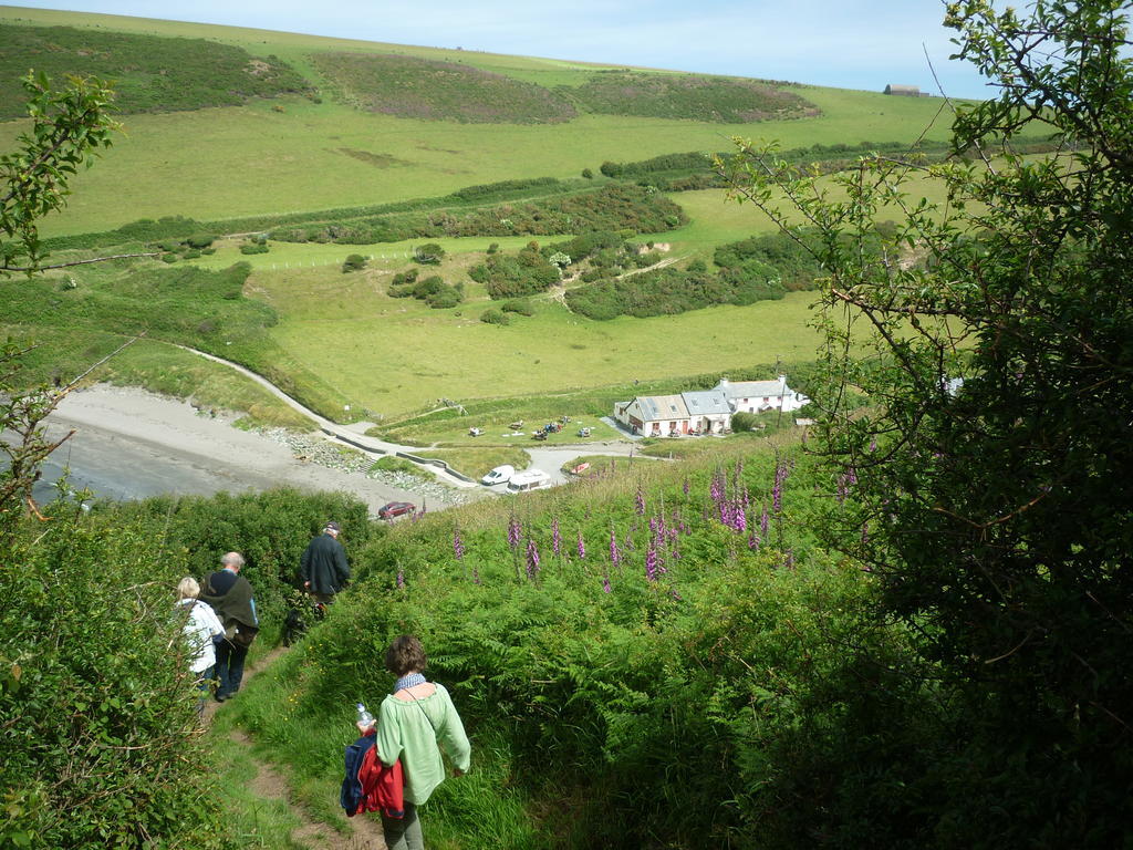 Tabor House B&B Fishguard Exteriör bild