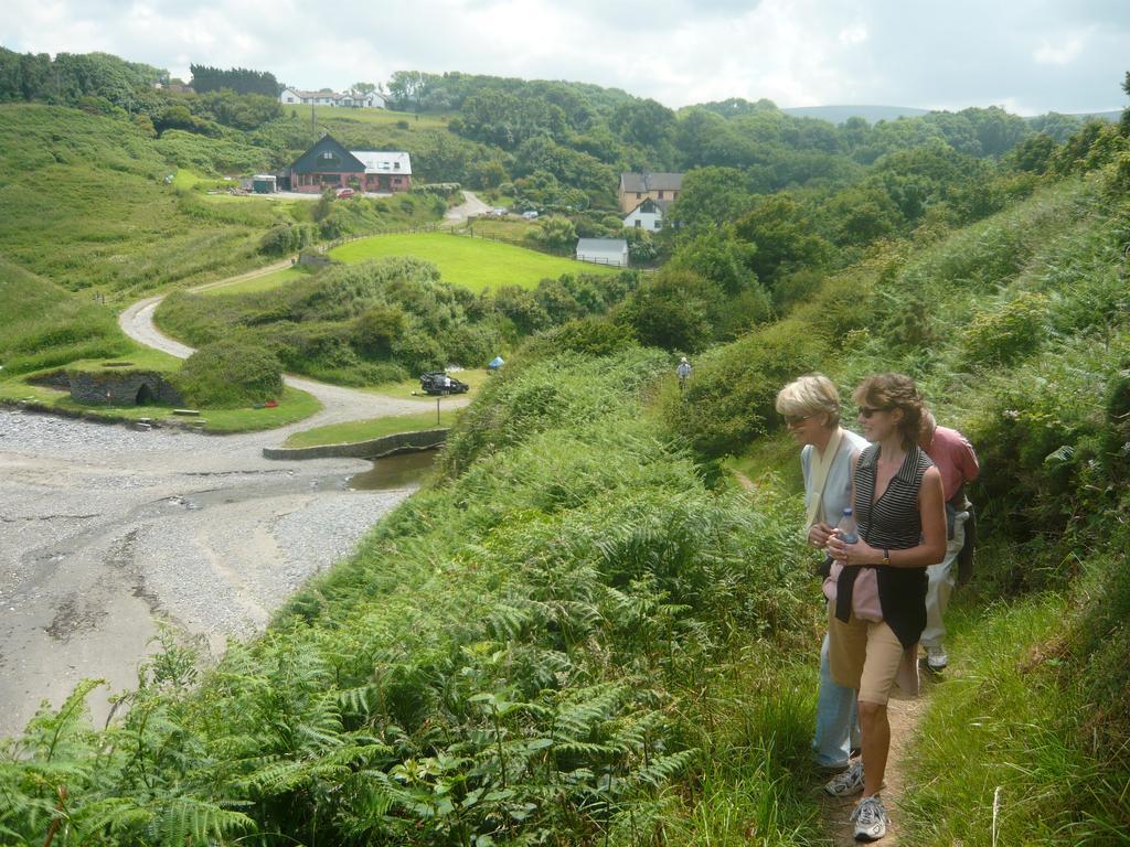 Tabor House B&B Fishguard Exteriör bild