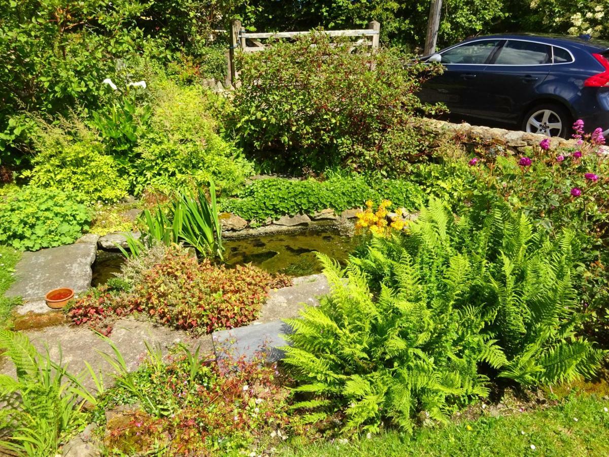Tabor House B&B Fishguard Exteriör bild